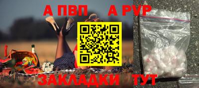 бошки Гай