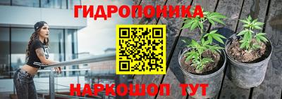 бошки Гай