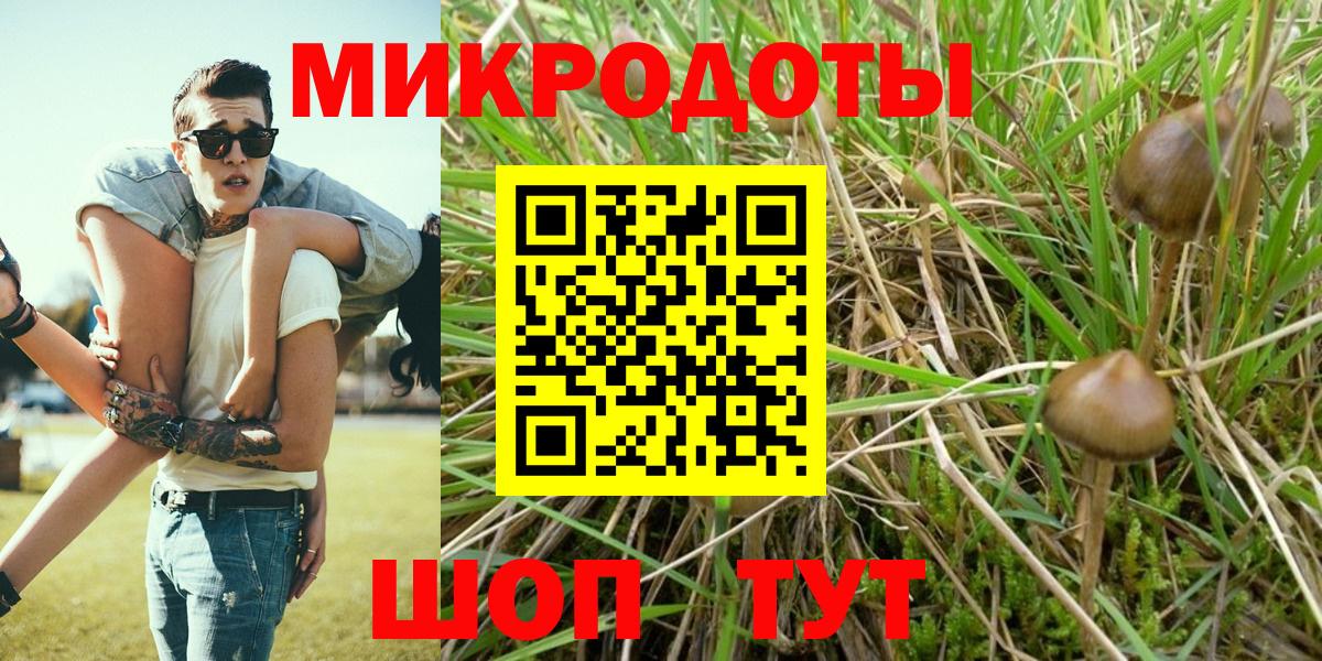 Псилоцибиновые грибы Magic Shrooms Фурманов